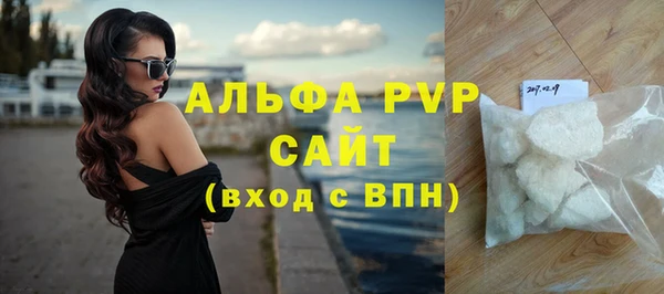 спиды Каменногорск