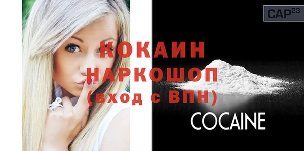 спиды Каменногорск
