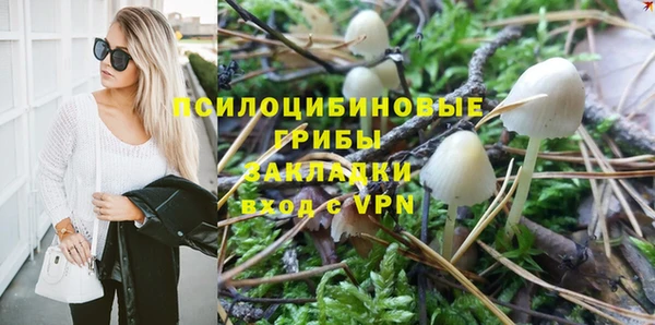 МДПВ Каменск-Шахтинский