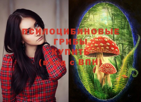 не бодяженный Каменка
