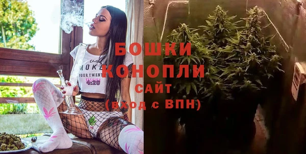 спиды Каменногорск