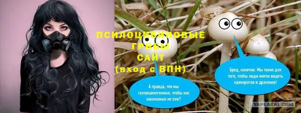 МДПВ Каменск-Шахтинский