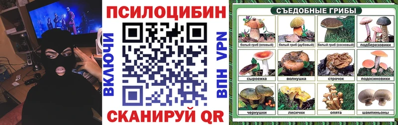 Псилоцибиновые грибы Cubensis  Ноябрьск 