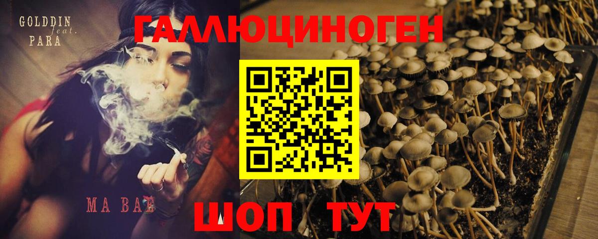 Галлюциногенные грибы GOLDEN TEACHER Ноябрьск