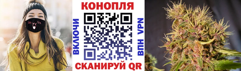 Бошки Шишки сатива  где купить наркоту  Ноябрьск 